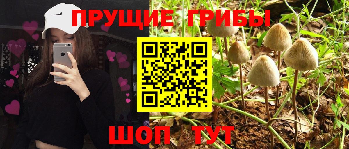 Галлюциногенные грибы ЛСД Волгодонск