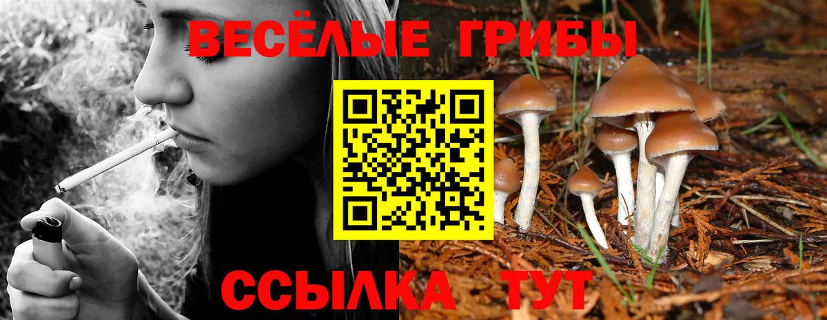 Псилоцибиновые грибы Psilocybe  Вход с VPN  Волгодонск 